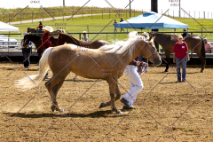 PCSCShow062125_5370