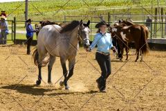 PCSCShow062125_5379
