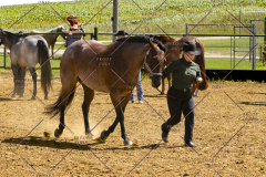 PCSCShow062125_5389