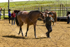 PCSCShow062125_5390