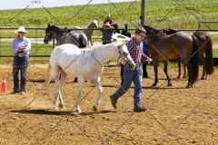 PCSCShow062125_5401