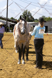 PCSCShow062125_5436