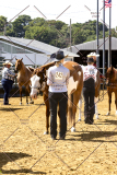 PCSCShow062125_5438