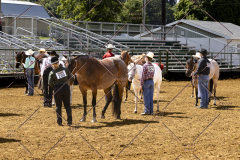 PCSCShow062125_5446