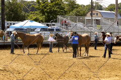 PCSCShow062125_5450