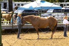 PCSCShow062125_5457