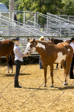 PCSCShow062125_5467