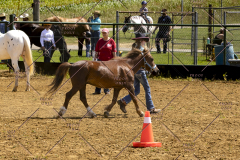 PCSCShow062125_5500