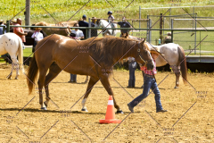 PCSCShow062125_5536
