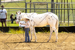 PCSCShow062125_5545