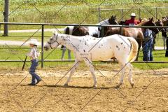 PCSCShow062125_5559