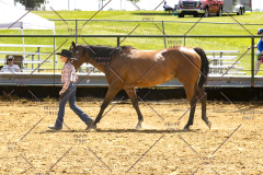 PCSCShow062125_5564