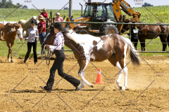 PCSCShow062125_5603