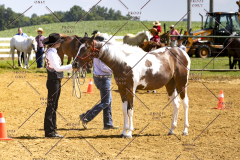 PCSCShow062125_5615