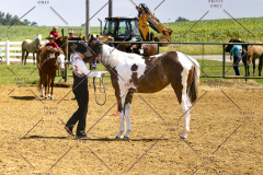 PCSCShow062125_5618