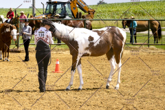 PCSCShow062125_5623