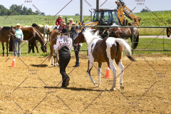 PCSCShow062125_5624