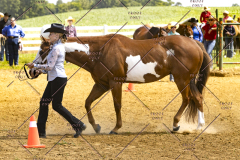 PCSCShow062125_5640