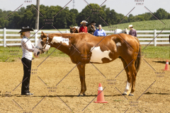 PCSCShow062125_5643