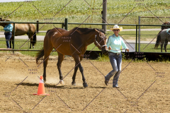 PCSCShow062125_5665