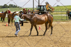PCSCShow062125_5672