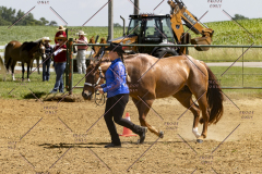 PCSCShow062125_5686