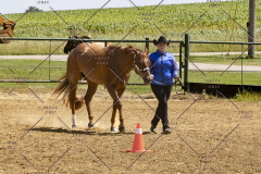 PCSCShow062125_5690