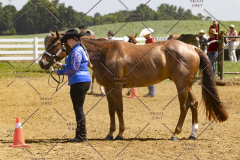 PCSCShow062125_5693
