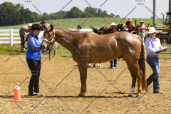 PCSCShow062125_5695
