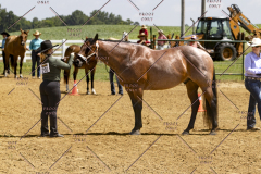 PCSCShow062125_5800