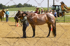 PCSCShow062125_5801