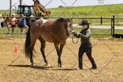 PCSCShow062125_5803