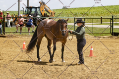 PCSCShow062125_5804