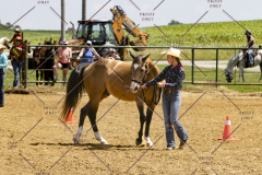 PCSCShow062125_5833