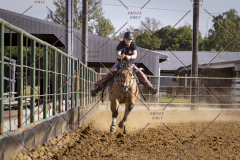 PCSCShow51725_4652