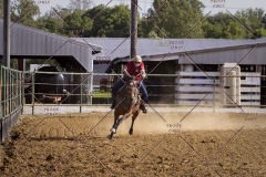 PCSCShow51725_4792