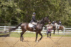 PCSCShow51725_1766
