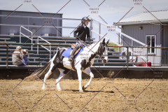PCSCShow51725_1794