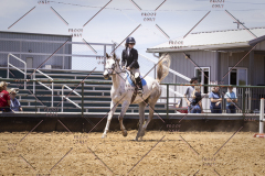 PCSCShow51725_1834