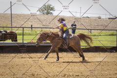 PCSCShow51725_2994