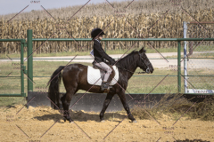 PCSCShow101825_0525