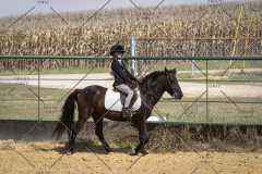 PCSCShow101825_0526