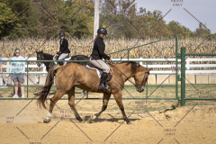 PCSCShow101825_0533