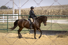 PCSCShow101825_0559