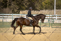 PCSCShow101825_0715