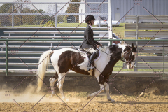 PCSCShow101825_0756