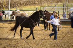 PCSCShow101825_8855