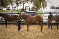 PCSCShow101825_8860