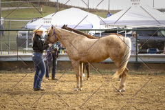 PCSCShow101825_8862