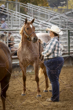 PCSCShow101825_8876